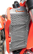 Load image into Gallery viewer, Billet Radiator Guard Beta