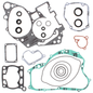 Complete Gasket Set With Oil Seals