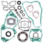 Complete Gasket Set With Oil Seals