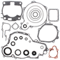 Complete Gasket Set With Oil Seals
