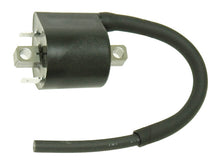 Load image into Gallery viewer, Atv Ignition Coil