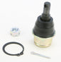 Lower Ball Joint