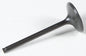 Black Diamond Intake Valve