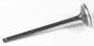 Black Diamond Intake Valve