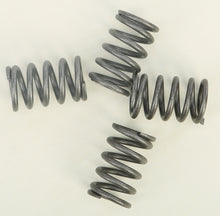 Load image into Gallery viewer, Hd Clutch Springs