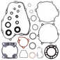 Complete Gasket Set With Oil Seals