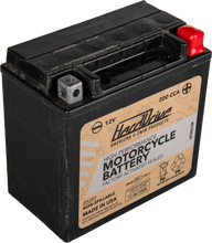 Load image into Gallery viewer, High Perform Battery Ytx14l Cca 200