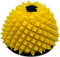 Air Filter Proline Kawasaki