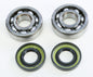 Crankshaft Bearing & Seal Kit Kaw/Suz