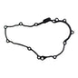 Stator Crankcase Cover Gasket