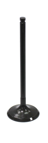 Intake Valve