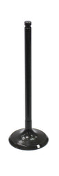 Intake Valve