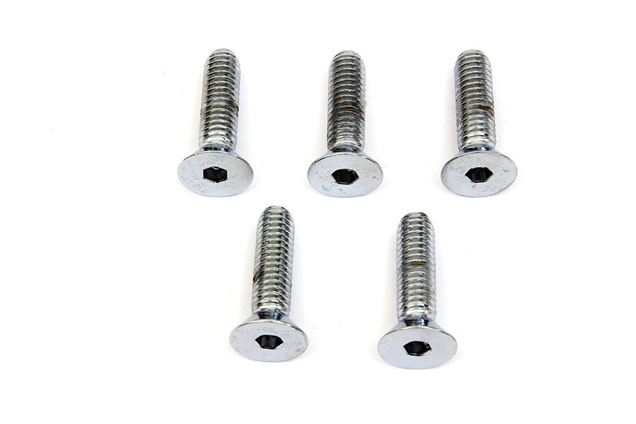 Front Disc Brake Screw Kit Chrome