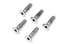Load image into Gallery viewer, Front Disc Brake Screw Kit Chrome
