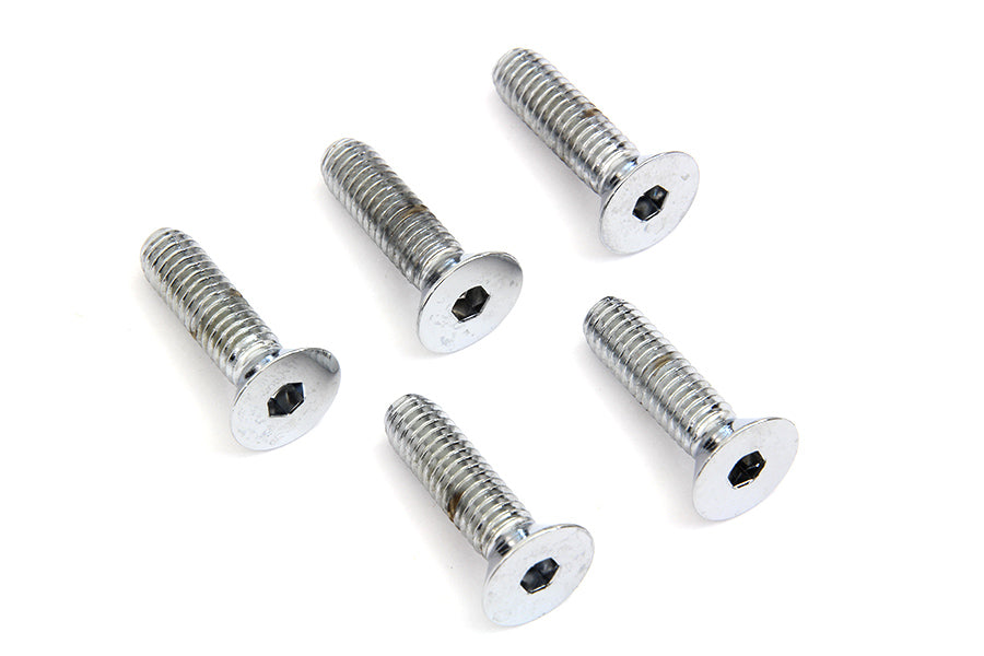 Front Disc Brake Screw Kit Chrome