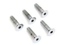 Load image into Gallery viewer, Front Disc Brake Screw Kit Chrome
