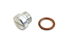 Load image into Gallery viewer, Oil Pump Screen Plug Cadmium
