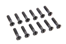 Load image into Gallery viewer, Cam Cover Screw Kit Parkerized