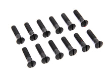 Load image into Gallery viewer, Cam Cover Screw Kit Parkerized