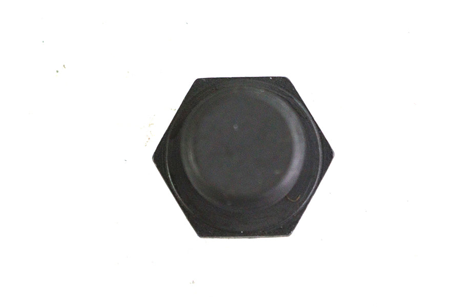 Engine Case Drain Oil Pump Plug
