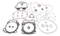 Complete Gasket Set With Oil Seals
