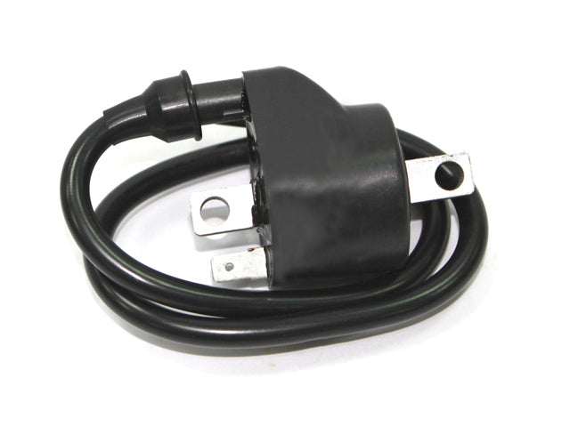 Atv Ignition Coil