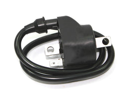Atv Ignition Coil