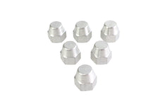 Load image into Gallery viewer, Oil Line Nipple Cap