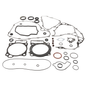 Complete Gasket Set With Oil Seals