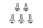 Chrome Rear Brake Disc Bolts