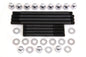 Chrome Engine Case Acorn Bolt Kit