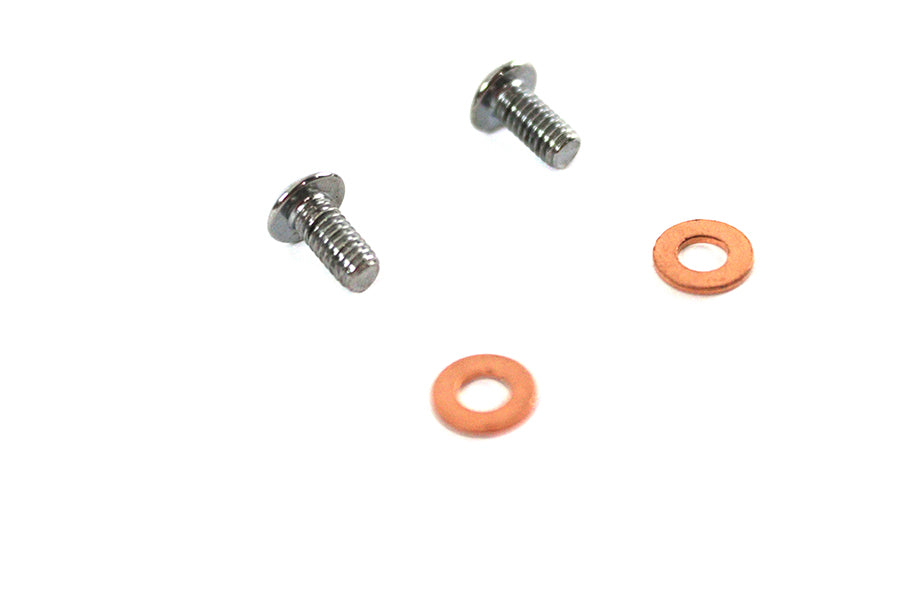 Fork Slider Drain Screws