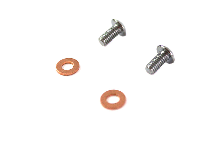 Fork Slider Drain Screws