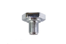 Load image into Gallery viewer, Fork Tube Bolt Chrome