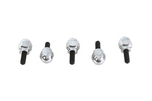 Load image into Gallery viewer, Acorn Screw Kit