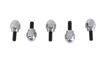 Load image into Gallery viewer, Acorn Screw Kit