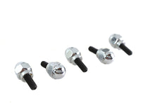 Load image into Gallery viewer, Acorn Screw Kit