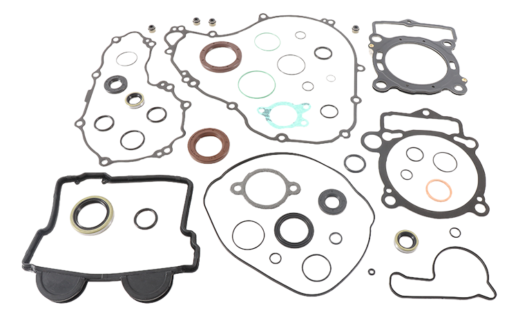 Complete Gasket Set With Oil Seals