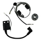 Kit Stator/Rotor/Ignition Rotor Flywheel+Ignition Coil