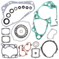 Complete Gasket Set With Oil Seals