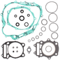 Complete Gasket Set With Oil Seals