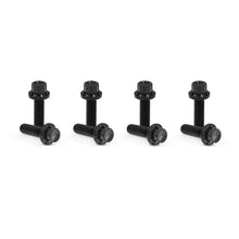 Load image into Gallery viewer, ARLEN NESS TITANIUM LIFTER BLOCK BOLT KITS HARLEY DAVIDSON MODELS - The Speed Shop Canada