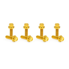 Load image into Gallery viewer, ARLEN NESS TITANIUM LIFTER BLOCK BOLT KITS HARLEY DAVIDSON MODELS - The Speed Shop Canada