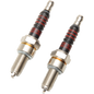 DRAG PERFORMANCE SPARK PLUGS HARLEY DAVIDSON MODELS - The Speed Shop Canada
