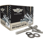 FIGURATI DESIGNS POLISHED ENGINE BOLT KITS HARLEY DAVIDSON M8 17-25 - The Speed Shop Canada