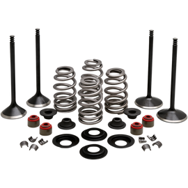 KIBBLEWHITE BLACK DIAMOND ENGIVE VALVE KITS HARLEY DAVIDSON MODELS - The Speed Shop Canada