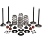 KIBBLEWHITE BLACK DIAMOND ENGIVE VALVE KITS HARLEY DAVIDSON MODELS - The Speed Shop Canada