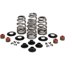 Load image into Gallery viewer, KIBBLEWHITE BEEHIVE VALVE SPRING KITS HARLEY DAVIDSON MODELS - The Speed Shop Canada