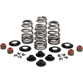 KIBBLEWHITE BEEHIVE VALVE SPRING KITS HARLEY DAVIDSON MODELS - The Speed Shop Canada