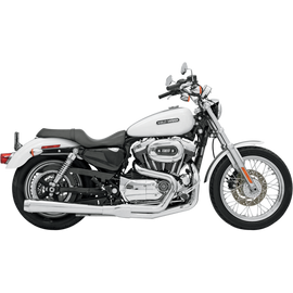 BASSANI ROAD RAGE 2:1 EXHAUST HARLEY DAVIDSON SPORTSTER 04-13 - The Speed Shop Canada
